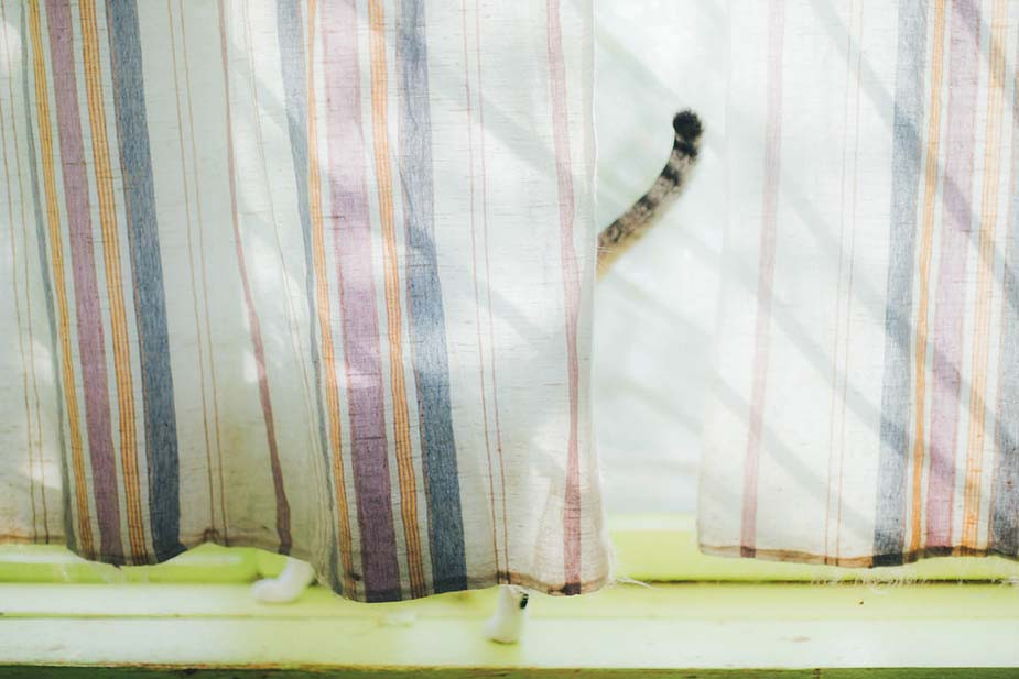 Фото Владимира Аверина для «Новой вкладки»