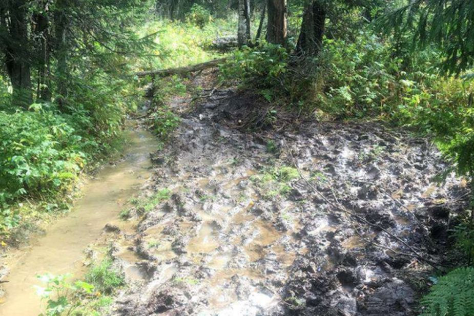 Состояние тропы до благоустройства 