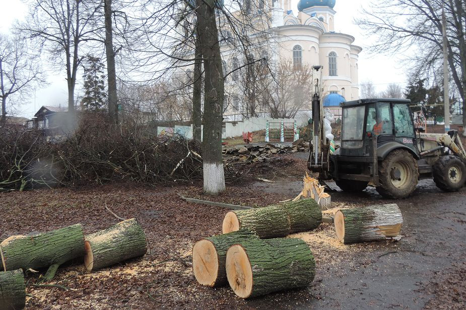 Спиленные липы в парке Болхова